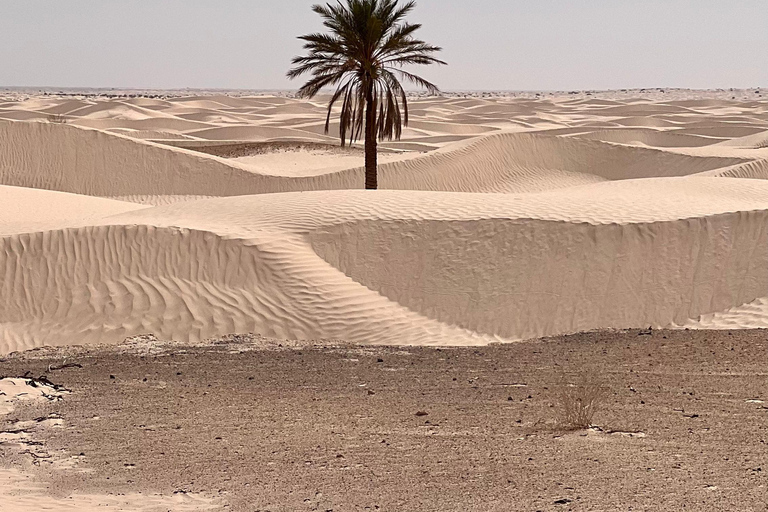 Fördjupning i Sahara: 2-nätters äventyr med läger och bivuak