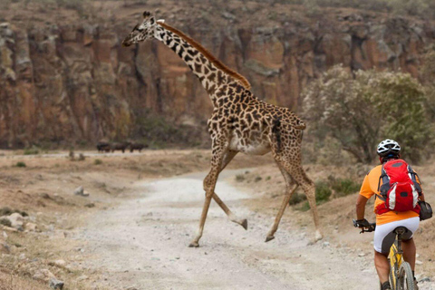 Nairobi:5Days Maasai Mara,Lake Nakuru &Naivasha Group Safari Accomodation Upgrade