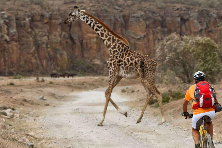 Nairobi:5Days Maasai Mara,Lake Nakuru &Naivasha Group Safari Accomodation Upgrade