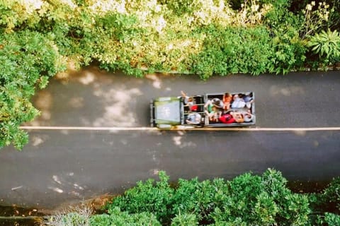 Rio de Janeiro: Jeep Tour in the Tijuca Forest