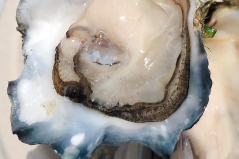 Madrid Centro, Palacio: Oysters and Champagne Workshop