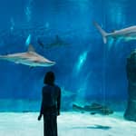Genova: Acquario di Genova con Pranzo