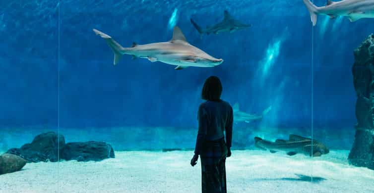 ACQUARIO BILLY 30 BIANCO