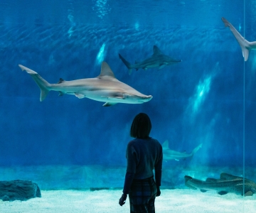 Genua: Aquarium von Genua mit Mittagessen
