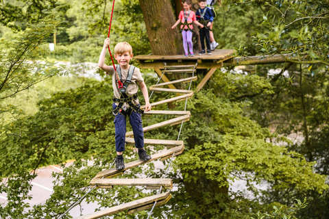 Manchester: Heaton Park Child Treetop Course (Mini Trek)