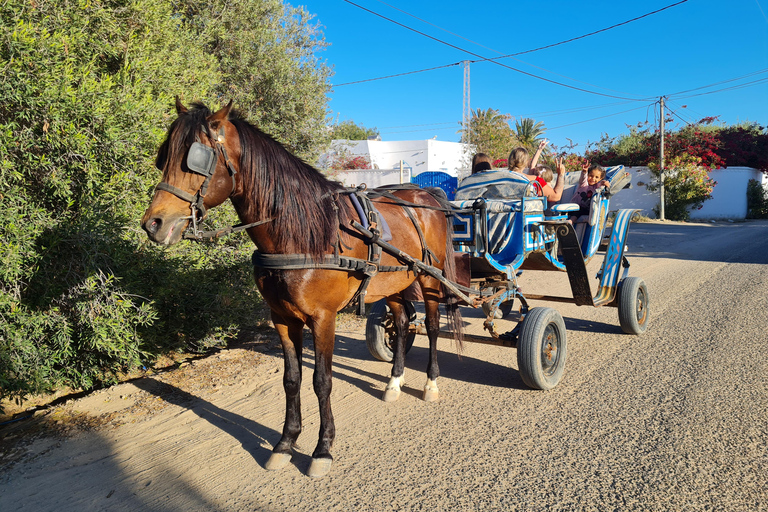 Djerba: Sunset Carriage Ride to Flamingo Island Djerba: Sunset Carriage Ride to Pink Flamingo Island