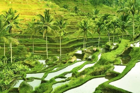 Bali: Hele dag privé rondleiding op maatBali romantisch ( Tour C )