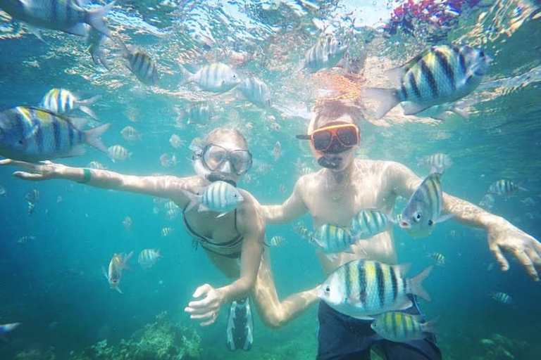 Montego Bay: Snorkeling Tour with Hip Strip Visit