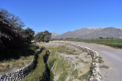 Nazca: Cantalloc Aqueducts, Nazca Lines, and Paredones Tour
