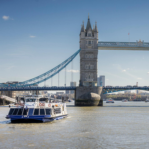 London: Eintägiger, uneingeschränkter Fluss-Pass für Stadtrundfahrten