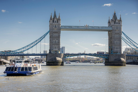 London: One-Day Unlimited City Cruises River Pass