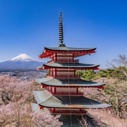 Mount Fuji Trip with English speaking guide ( customizable) - 2026
