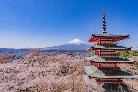From Tokyo:Mt.Fuji &Hakone Trip with English Speaking guide