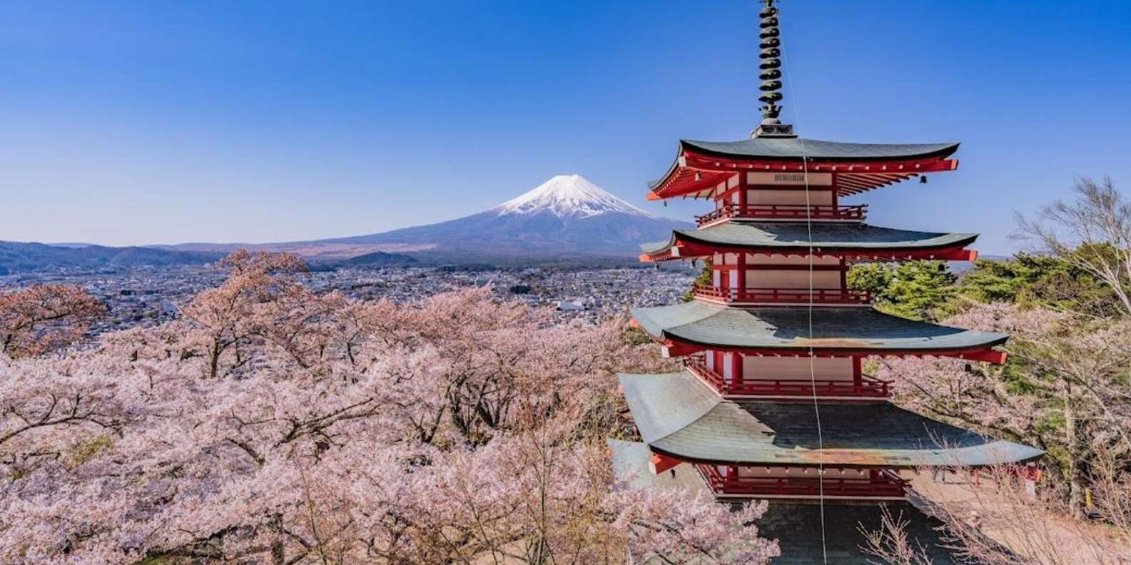 Mount Fuji Trip with English speaking guide ( customizable