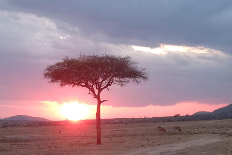 Nairobi: Safari di 3 giorni in Kenya