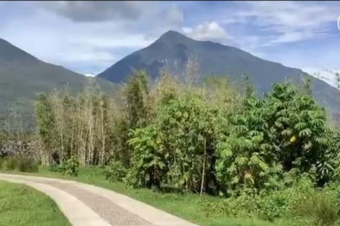 Randonnée au Mont Bisoke dans le parc national des VolcansRandonnée au Mont Bisoke dans le parc national des volcans