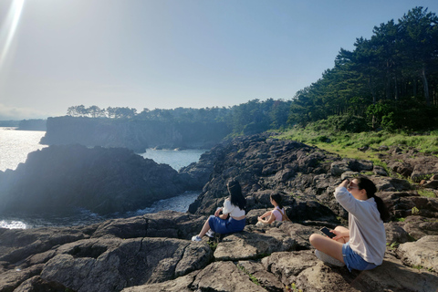 Isola di Jeju: Tour di un giorno dei luoghi UNESCO del sud