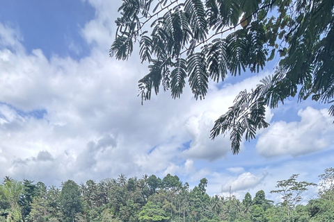 From Yogyakarta: Tumpak Sewu, Bromo, Ijen & Bali drop-off Yogyakarta to Bromo & Ijen only drop Bali