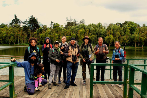 Birdwatching in Bogotá wetlands with Bakata Pajarera