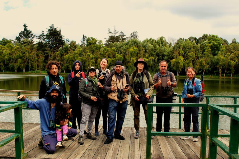 Birdwatching in Bogotá wetlands with Bakata Pajarera