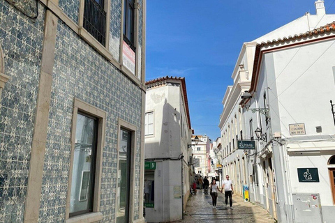 Depuis Albufeira : visite de Lagos, Sagres, Silves et Monchique