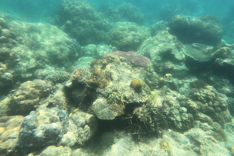 Coron: Doejoeng kijken met zeeschildpadden en koraaltuin tour