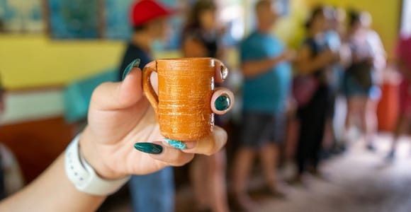 Puerto Vallarta: Guided San Sebastian Tour