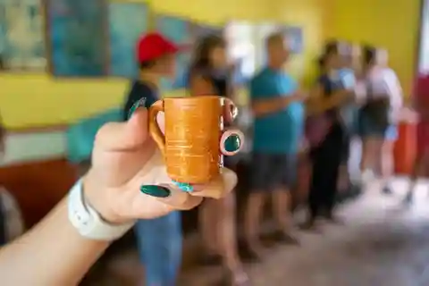 Puerto Vallarta : Visite guidée de Saint-Sébastien