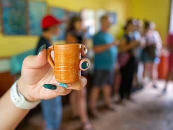 Puerto Vallarta: Guided San Sebastian Tour