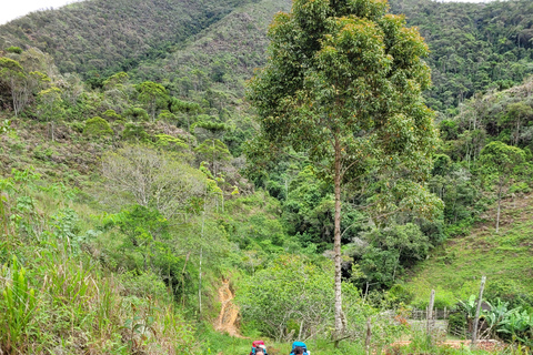 CAMINHO DO OURO - Geführte Tour durch den Atlantischen Wald, Wasserfälle und Geschichten.