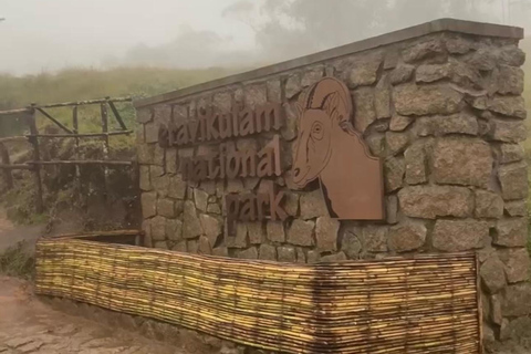 De Kochi a Munnar: Eravikulam, finca de té y cascadas