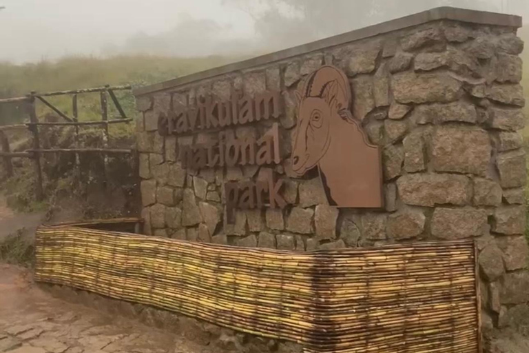De Kochi a Munnar: Eravikulam, finca de té y cascadas