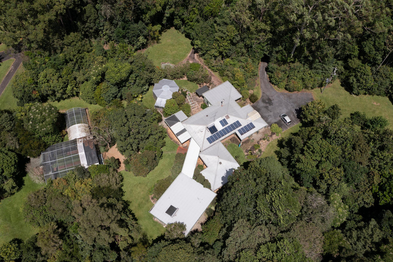 Atherton: Bat Sanctuary Tour with Guide