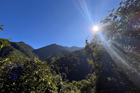 4-Day Tour: Quito, Mindo, Pacific Coast & Tsáchila, All incl