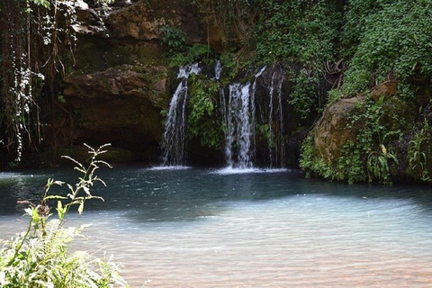 Nairobi: Caminhada pela Floresta Ngare Ndare e Canopy WalkNairobi: Caminhada pela Floresta Ngare Ndare e Passeio pela Copas das Árvores