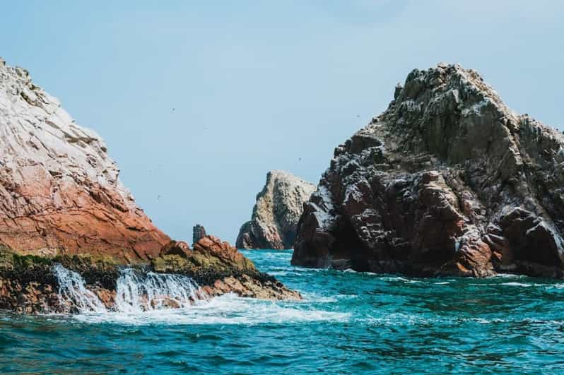 Galería de fotos para redes