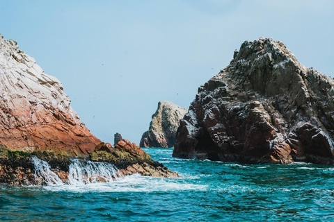 Lima: Trasferimento + Paracas + HuacachinaLima: Trasferimento + Paracas+ Huacachina