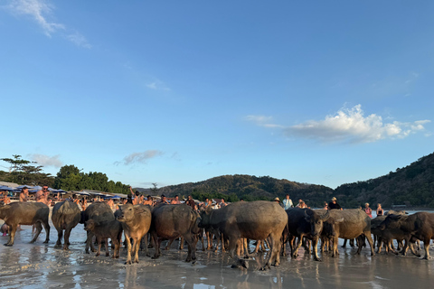 Lombok: Weaving, South Beach, Sunset with Buffalo Tour Lombok: Weaving, South Beach, Sunset with Buffalo Tour