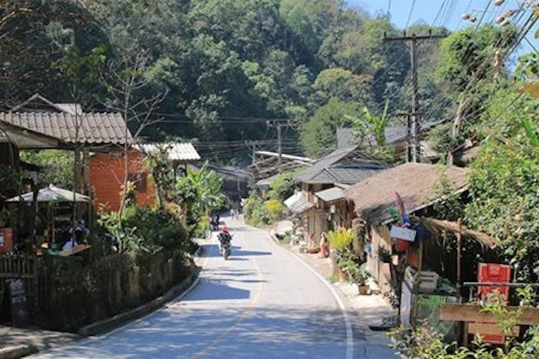 Chiang Mai : location d'un minibus avec chauffeur pour Doi Mae Kam PongChiang Mai : Location d'un minibus avec chauffeur à Doi Mae Kam Pong