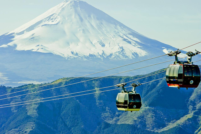 Mt.Fuji:Hakone Cruise, Ropeway&Oshino Hakkai Full-day Tour 8:30 AM pick up at Shinjuku station