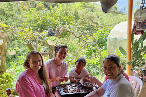 Medellin: Chocolate Farm Private Tour w/Workshop and Tasting