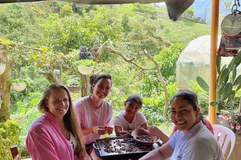 Medellin: Chocolate Farm Private Tour w/Workshop and Tasting