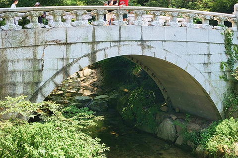 Seoul: Cherry Blossom & Pokpo Waterfall Cafe One Day Tour A. Cherry Blossom Spring Route