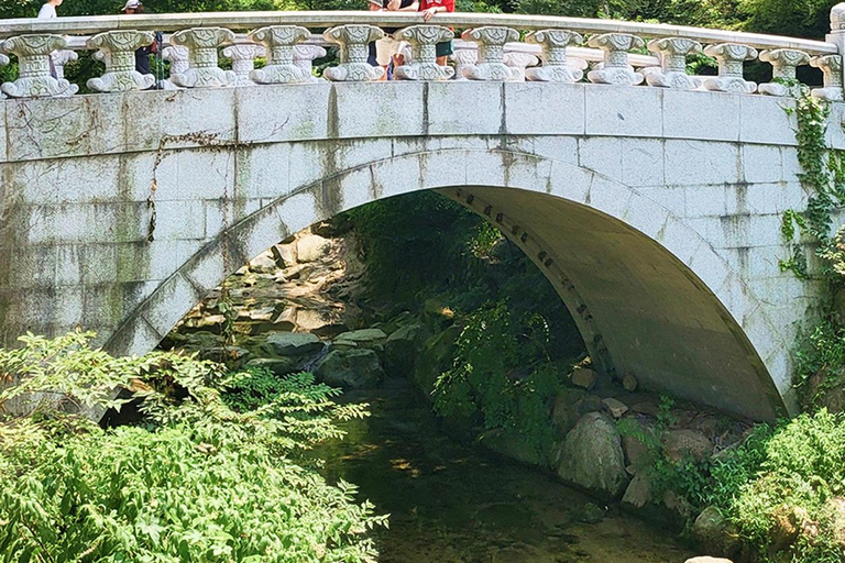 Seoul: Cherry Blossom & Pokpo Waterfall Cafe One Day Tour A. Cherry Blossom Spring Route