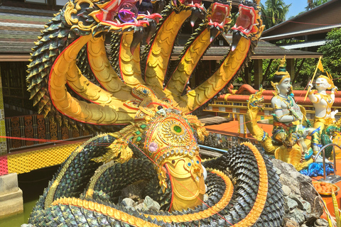 Khao Lak Hidden Gems - (Canoes, Turtles, and Temples)