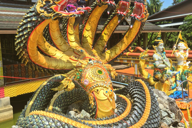 Khao Lak Hidden Gems - (Canoes, Turtles, and Temples)