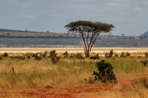 Safari med övernattning till Tsavo East från Mombasa och Diani Beach