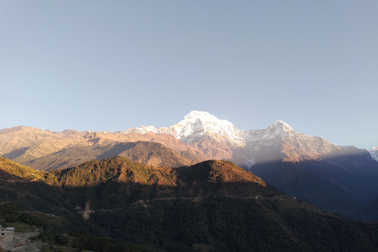 From Pokhara: 4 Night 5 Day Poon Hill, Ghandruk Trek