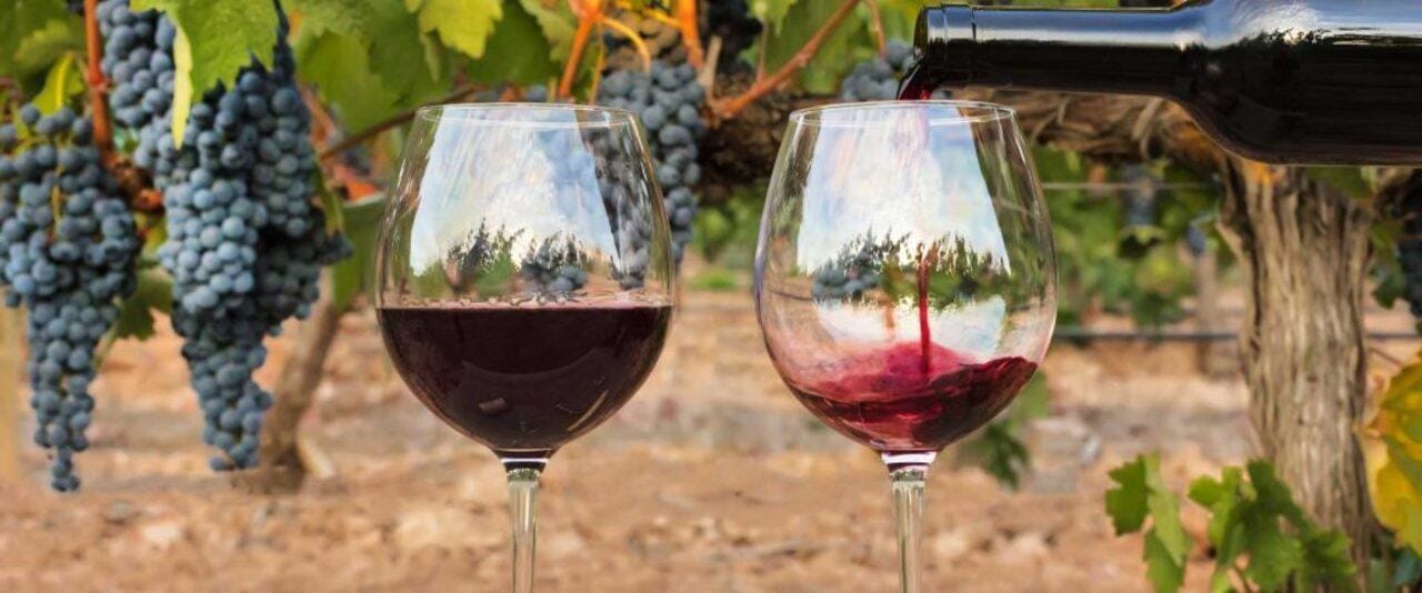 Halbtagestour mit Olivenöl- und Weinprobe