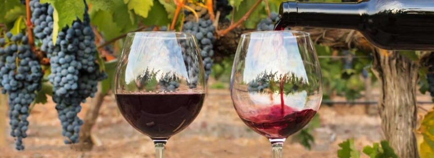 Découvrez Leucade – Visite guidée et expériences locales